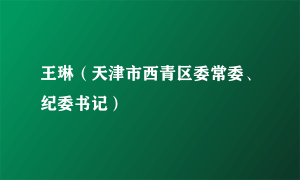 王琳（天津市西青区委常委、纪委书记）