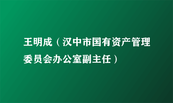 王明成（汉中市国有资产管理委员会办公室副主任）