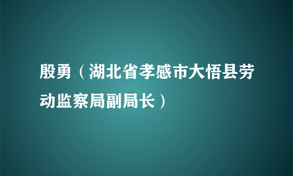 殷勇（湖北省孝感市大悟县劳动监察局副局长）