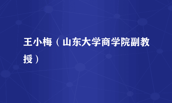 什么是王小梅（山东大学商学院副教授）