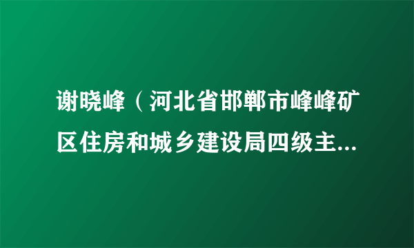 谢晓峰（河北省邯郸市峰峰矿区住房和城乡建设局四级主任科员）