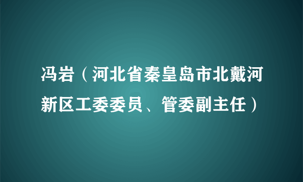 冯岩（河北省秦皇岛市北戴河新区工委委员、管委副主任）