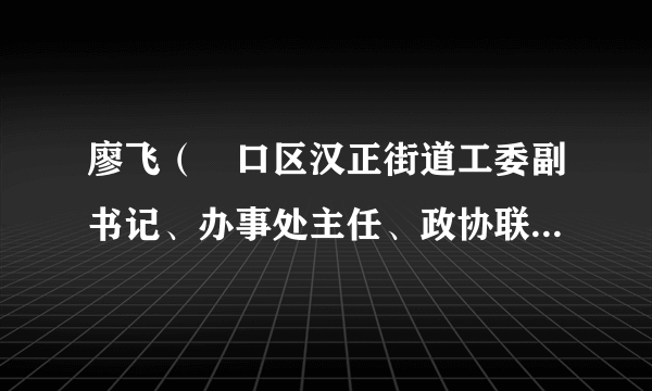 什么是廖飞（硚口区汉正街道工委副书记、办事处主任、政协联络委主任）