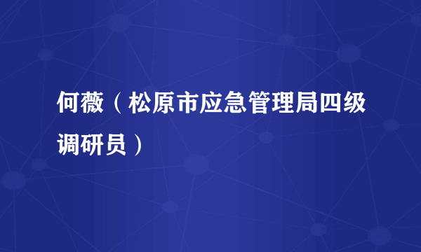 何薇（松原市应急管理局四级调研员）