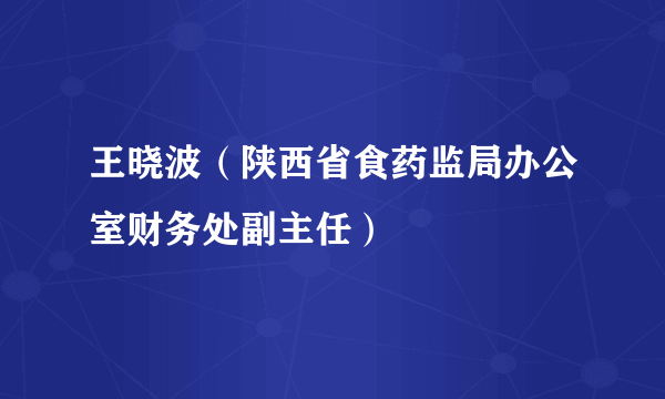 王晓波（陕西省食药监局办公室财务处副主任）