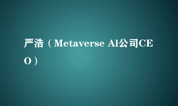 严浩（Metaverse Al公司CEO）