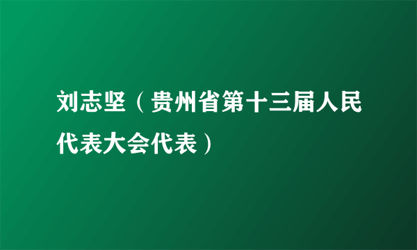 刘志坚（贵州省第十三届人民代表大会代表）