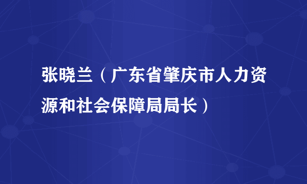 张晓兰（广东省肇庆市人力资源和社会保障局局长）