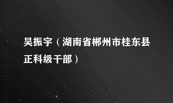 什么是吴振宇（湖南省郴州市桂东县正科级干部）