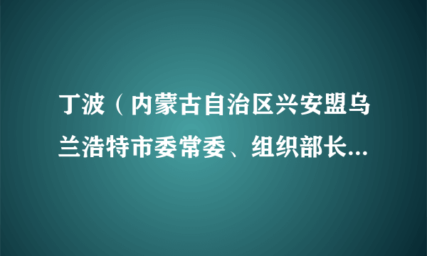 丁波（内蒙古自治区兴安盟乌兰浩特市委常委、组织部长、党校校长）