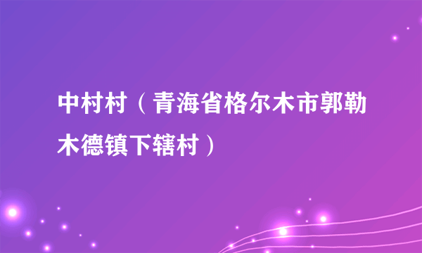 什么是中村村（青海省格尔木市郭勒木德镇下辖村）