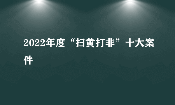 2022年度“扫黄打非”十大案件