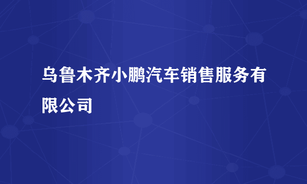 乌鲁木齐小鹏汽车销售服务有限公司