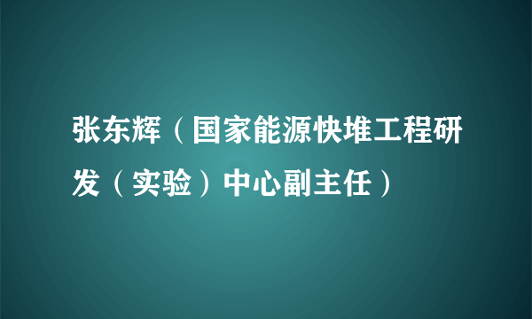 张东辉（国家能源快堆工程研发（实验）中心副主任）