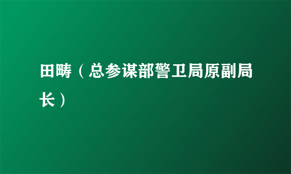 什么是田畴（总参谋部警卫局原副局长）