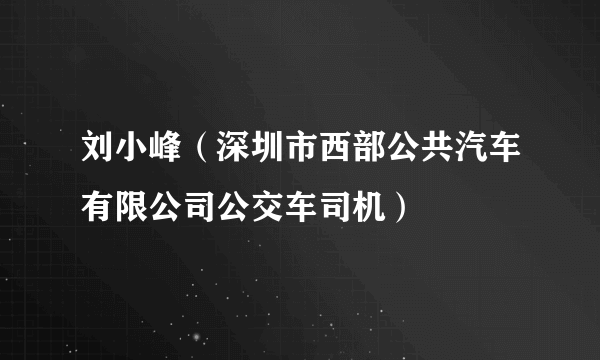 刘小峰（深圳市西部公共汽车有限公司公交车司机）