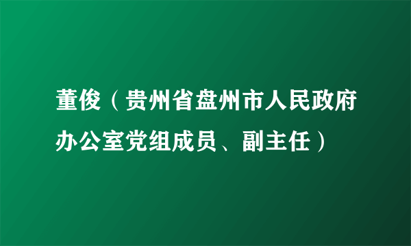 董俊（贵州省盘州市人民政府办公室党组成员、副主任）