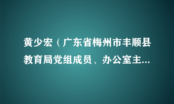 黄少宏（广东省梅州市丰顺县教育局党组成员、办公室主任、县委教育工委委员）