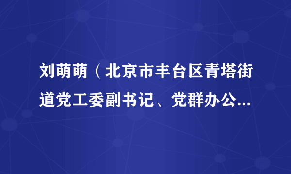 刘萌萌（北京市丰台区青塔街道党工委副书记、党群办公室主任）