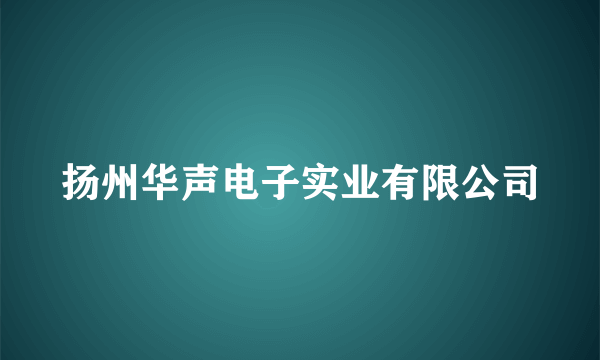 扬州华声电子实业有限公司