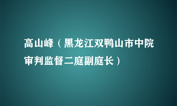 高山峰（黑龙江双鸭山市中院审判监督二庭副庭长）