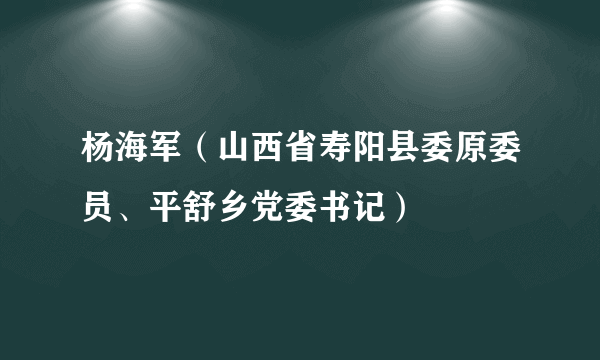 杨海军（山西省寿阳县委原委员、平舒乡党委书记）