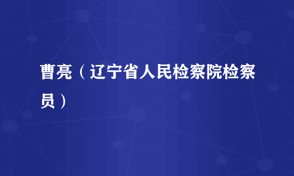 曹亮（辽宁省人民检察院检察员）