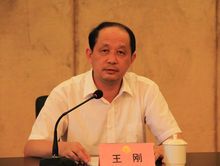 什么是王刚（福建省三明市原副市长）