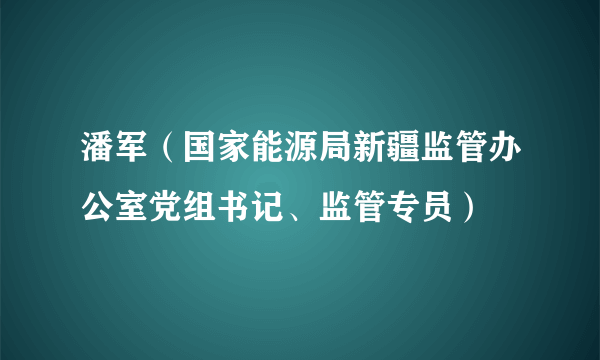 潘军（国家能源局新疆监管办公室党组书记、监管专员）