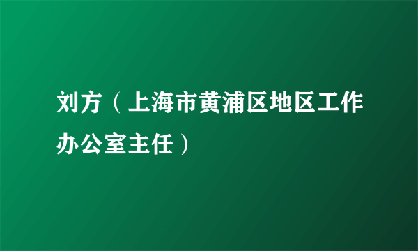 刘方（上海市黄浦区地区工作办公室主任）