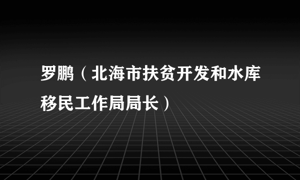 罗鹏（北海市扶贫开发和水库移民工作局局长）