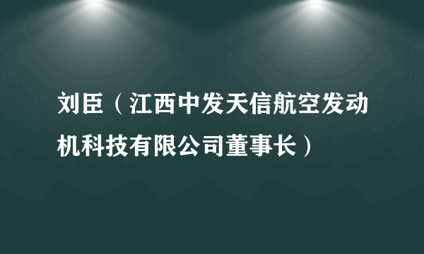 刘臣（江西中发天信航空发动机科技有限公司董事长）