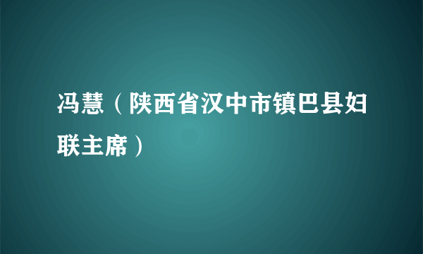 冯慧（陕西省汉中市镇巴县妇联主席）