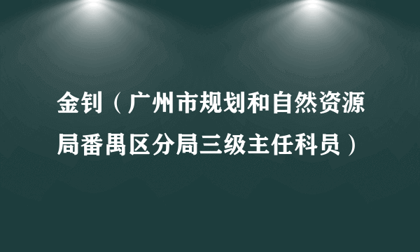 金钊（广州市规划和自然资源局番禺区分局三级主任科员）