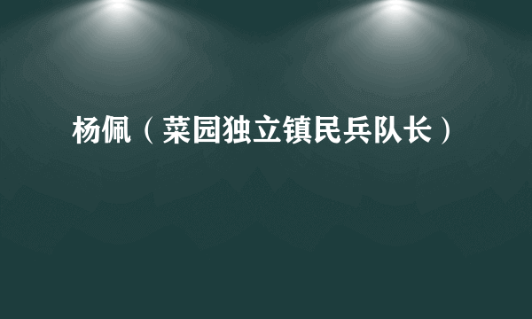 杨佩（菜园独立镇民兵队长）