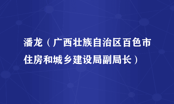 潘龙（广西壮族自治区百色市住房和城乡建设局副局长）