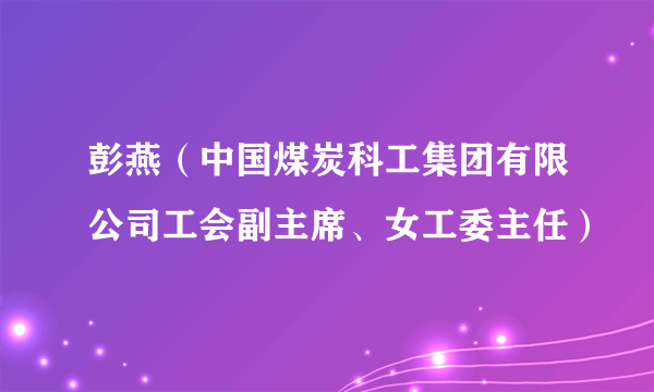 彭燕（中国煤炭科工集团有限公司工会副主席、女工委主任）