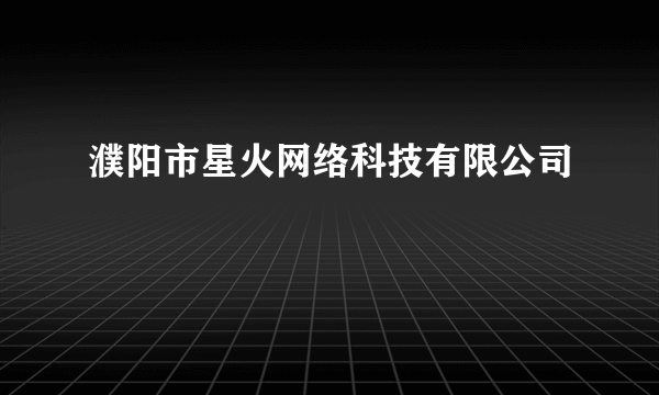 濮阳市星火网络科技有限公司