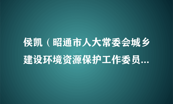 侯凯（昭通市人大常委会城乡建设环境资源保护工作委员会原副主任）