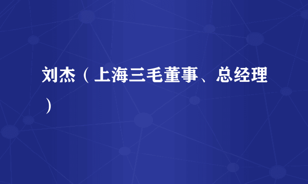 刘杰（上海三毛董事、总经理）