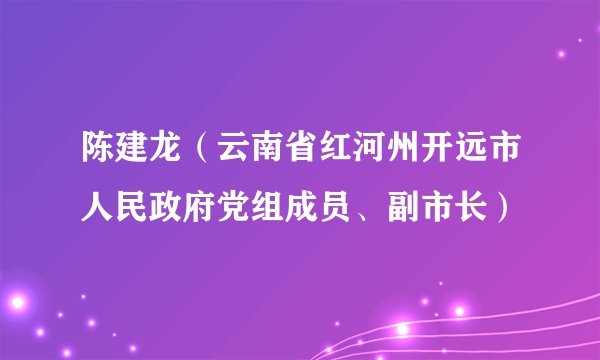 陈建龙（云南省红河州开远市人民政府党组成员、副市长）