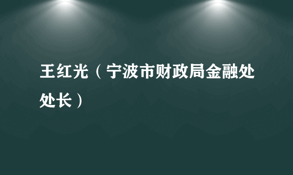 什么是王红光（宁波市财政局金融处处长）