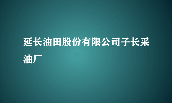 延长油田股份有限公司子长采油厂