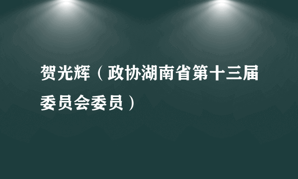 贺光辉（政协湖南省第十三届委员会委员）