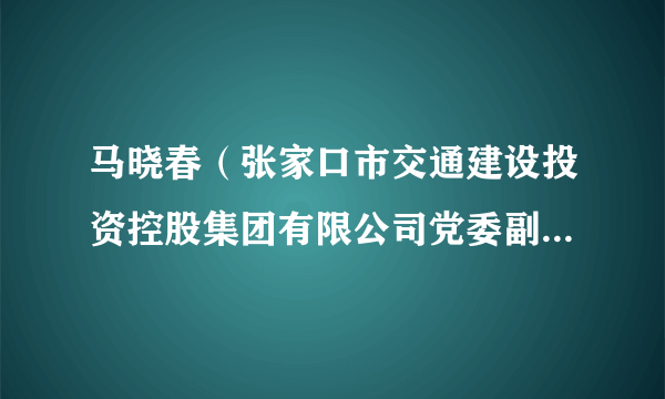 什么是马晓春（张家口市交通建设投资控股集团有限公司党委副书记、副董事长）