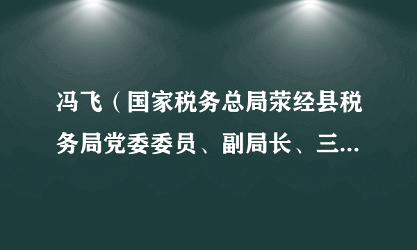 冯飞（国家税务总局荥经县税务局党委委员、副局长、三级主办）