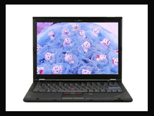 ThinkPad X300(6477HC2)