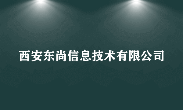 什么是西安东尚信息技术有限公司