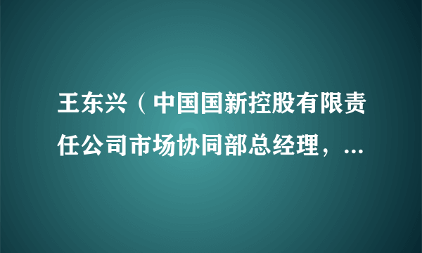 什么是王东兴（中国国新控股有限责任公司市场协同部总经理，中国文化产业发展集团有限公司党委书记、董事长）