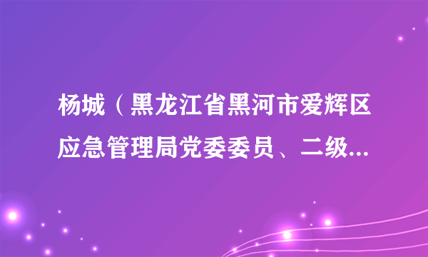 杨城（黑龙江省黑河市爱辉区应急管理局党委委员、二级主任科员）